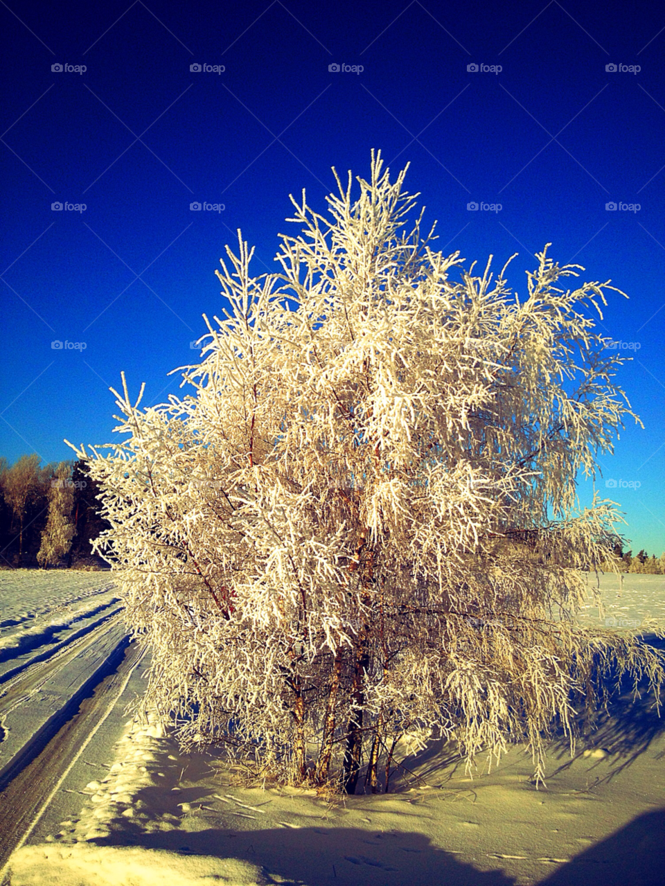 sky blue sweden uppsala by susanne.jordan