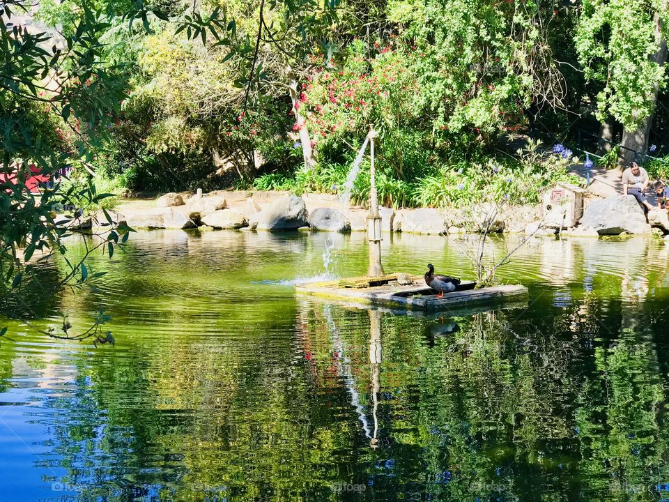 A place you can clear your mind 