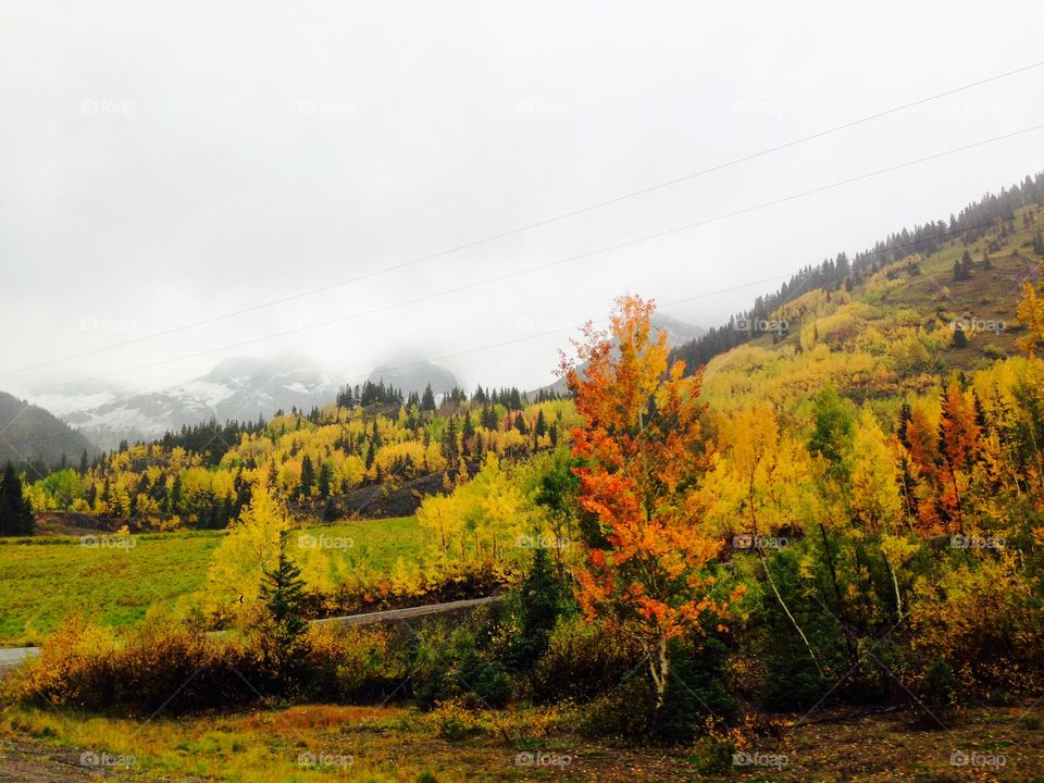 Fall colors with snow on mountains