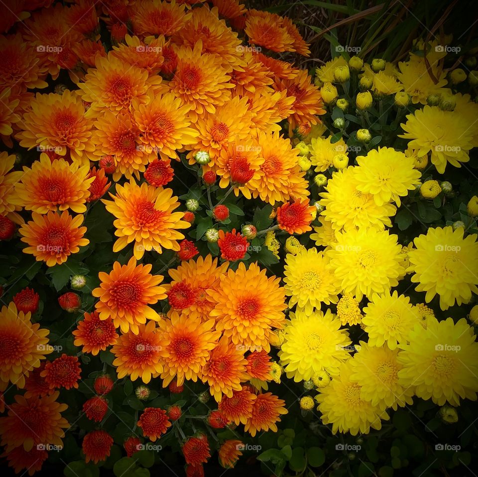 Bring a smile to your face