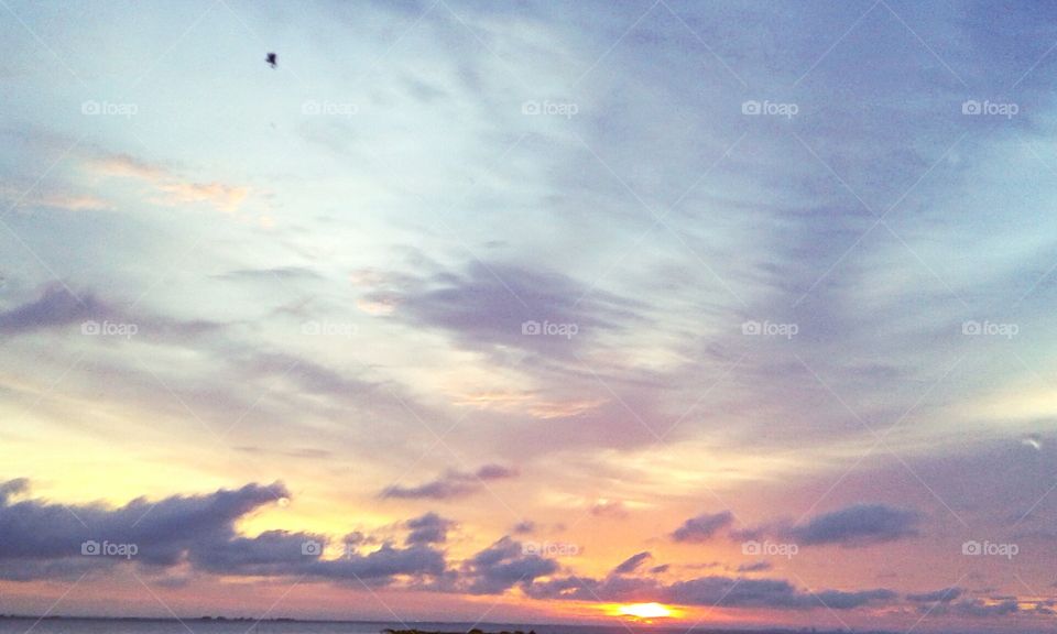 lovely. a wonderful morning 