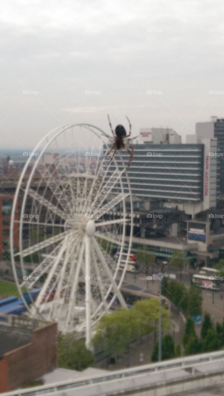 manchester city. giant wheel