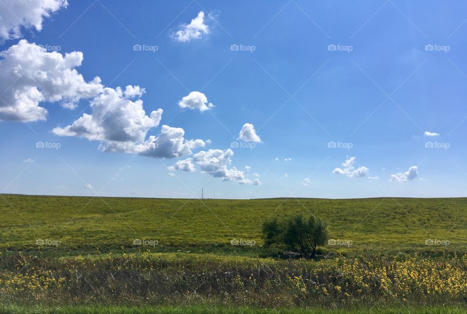 Open landscape with blue sky and a few white clouds
