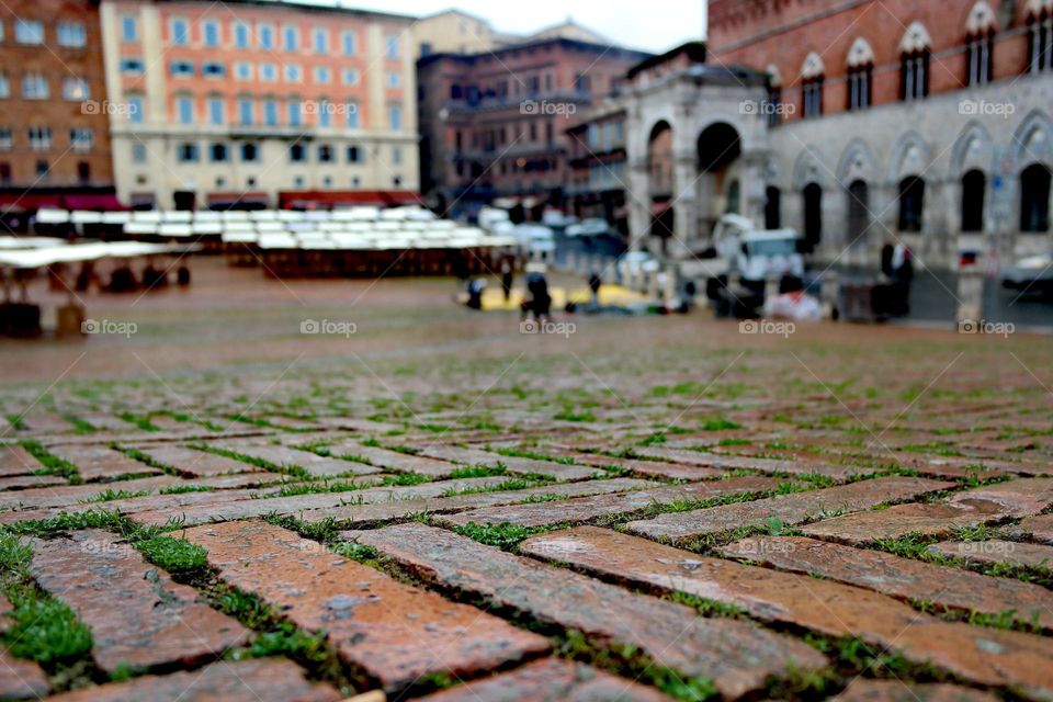 Piazza Siena