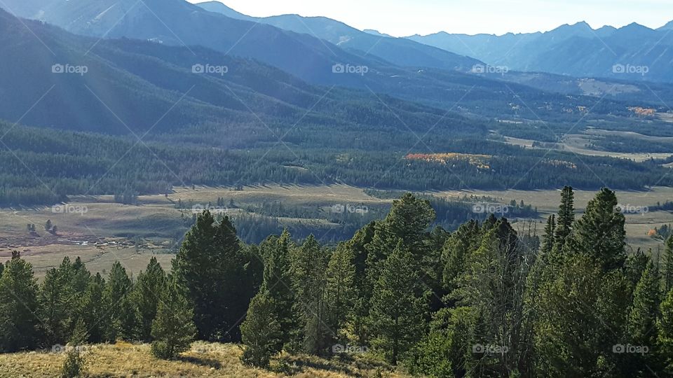 Summit and Valley. Picture of the valley with trees and the Sawtooth Mountains in Idaho.