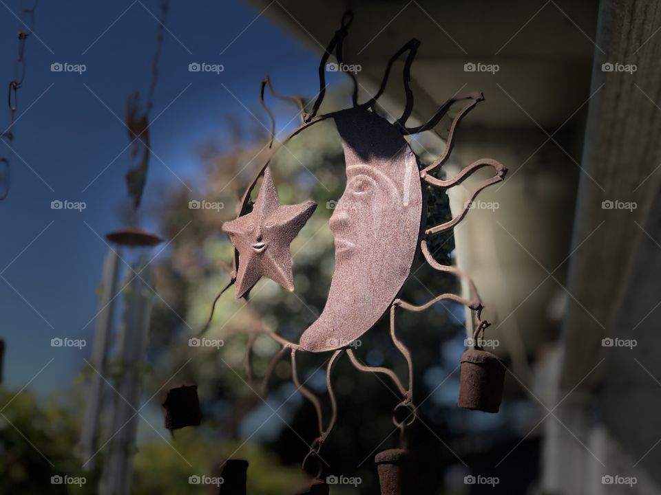 Backyard shots on a crisp & sunny February day in Southern California 