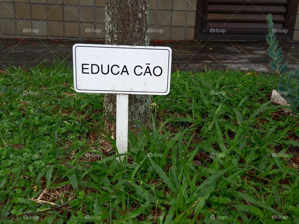 Educa Cão