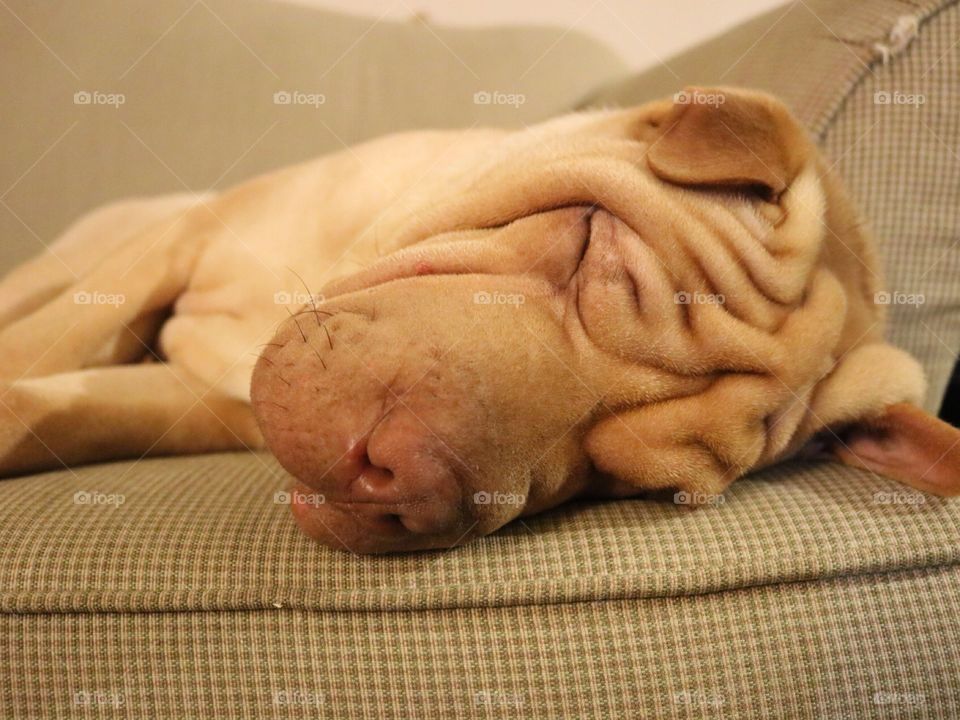 Having wrinkles is tiring