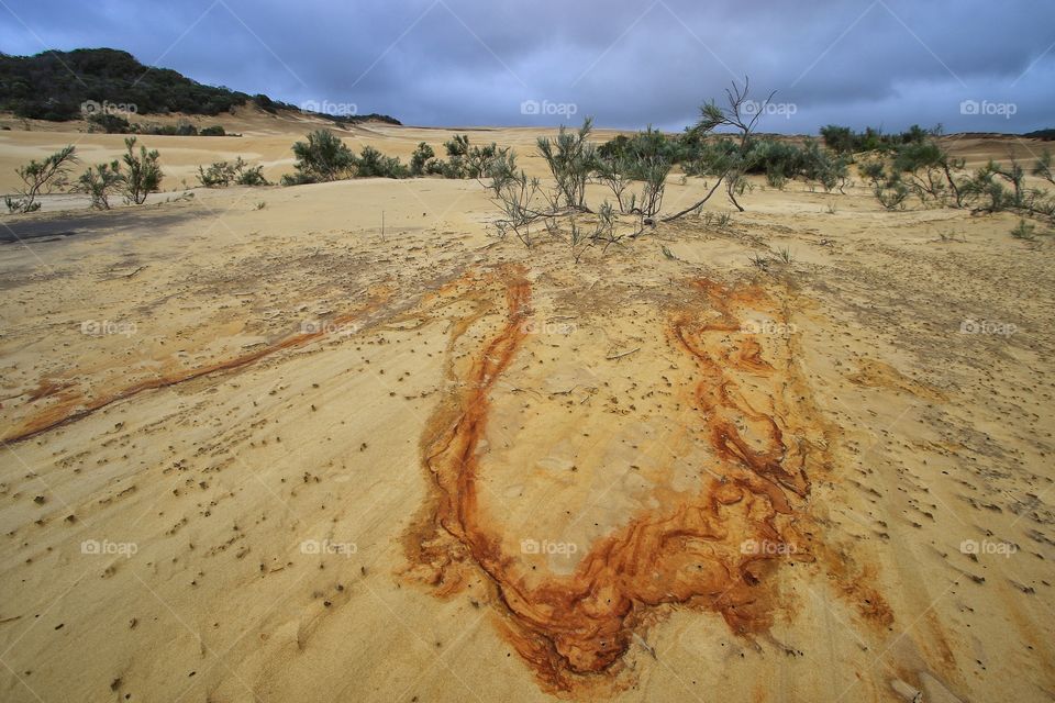 Hiking Fraser Island, Australia