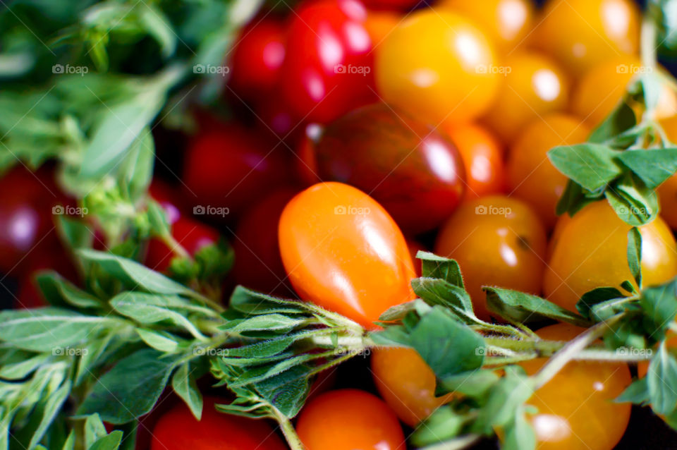 Close-up of cherry tomatoes and oregano herb