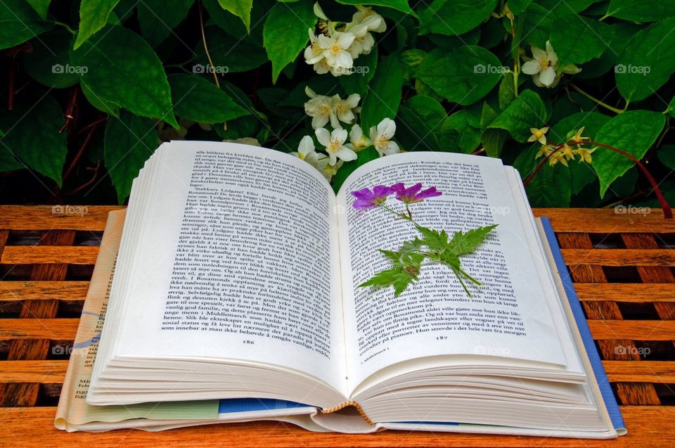 Open book with flower in a garden