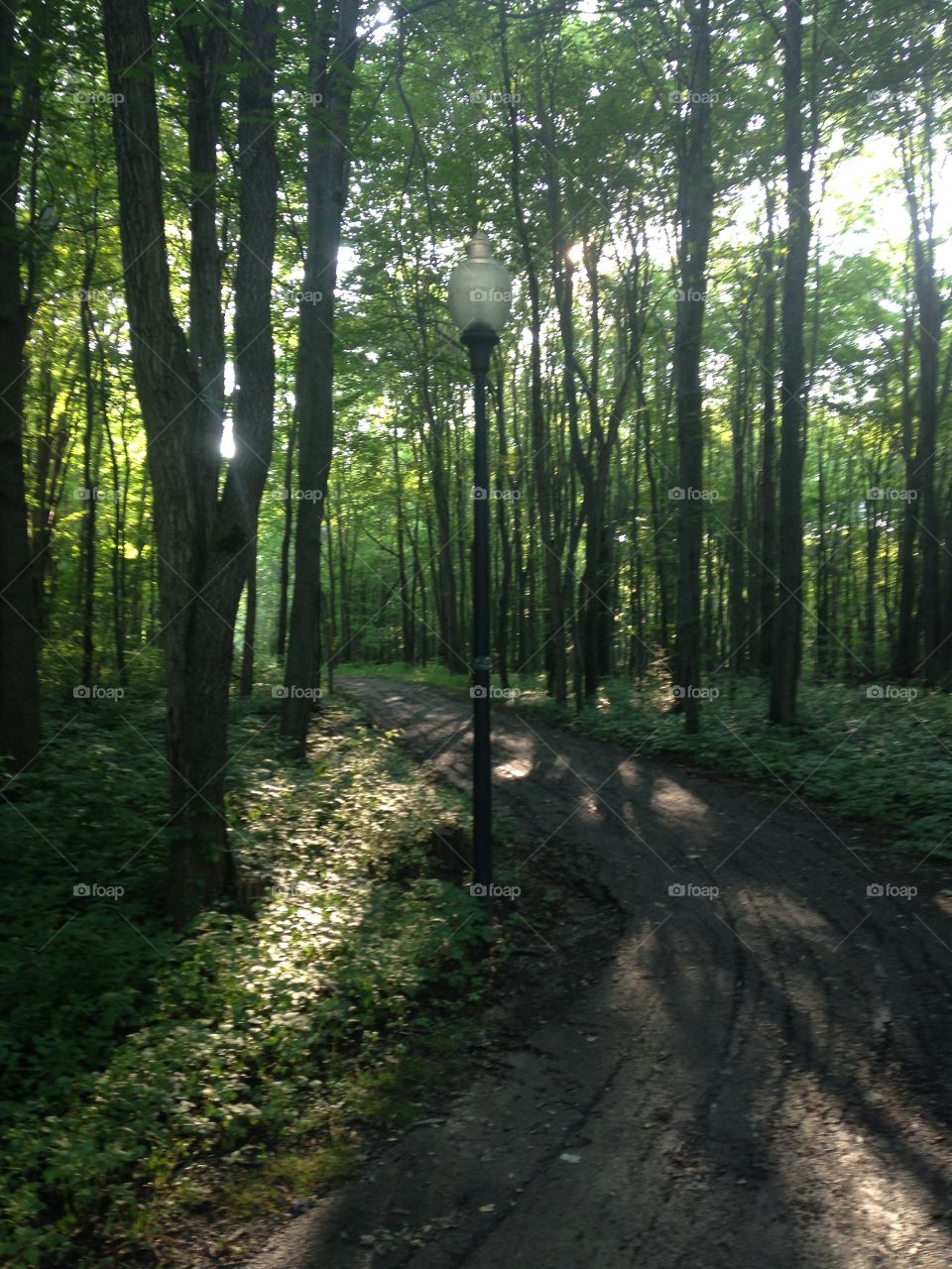 Bromfield Trail. Taken on July 1st, 2015 in Mansfield, OH. 