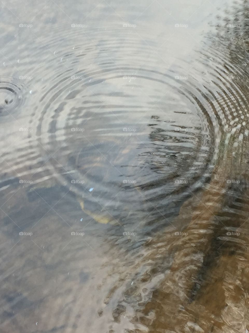 River Water Crop
Circles