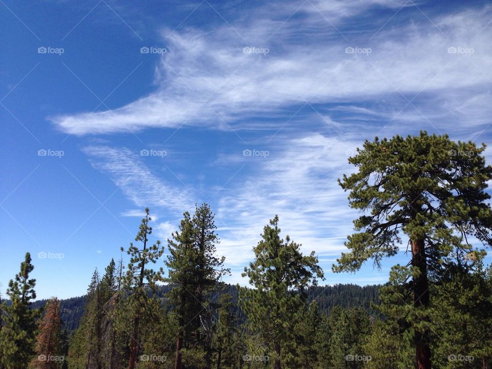 Scenic Sierras