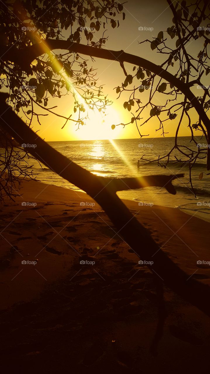 Caribbean sunset on the beach Vacation
