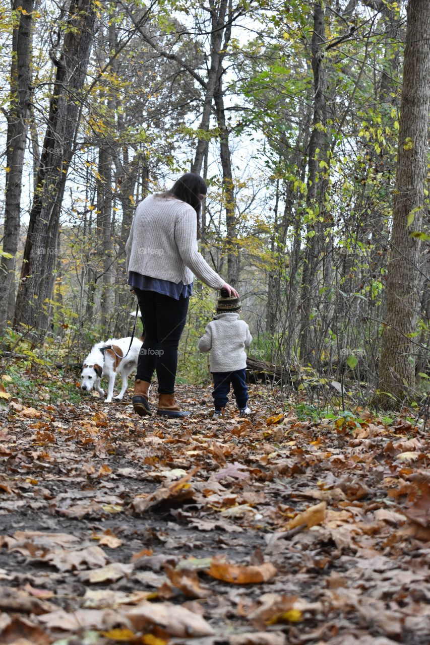Cute toddler boy hiking in hilly forest with his dog and mother 