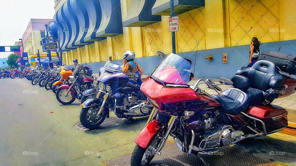 BIGGEST LITTLE CITY IN THE WORLD