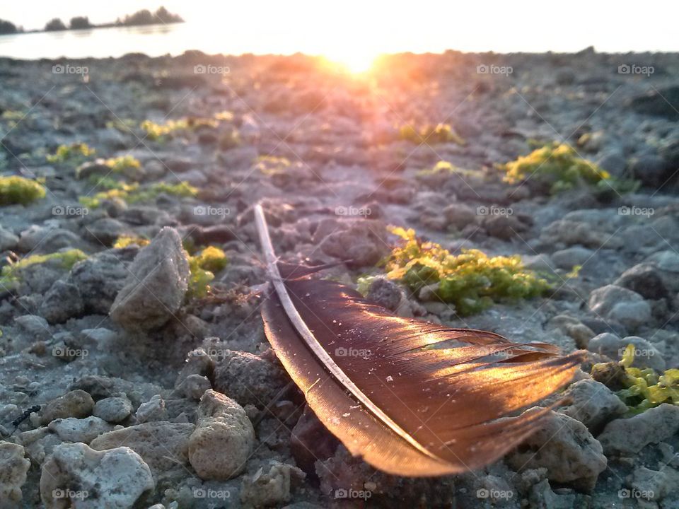 painted by the setting sun 2