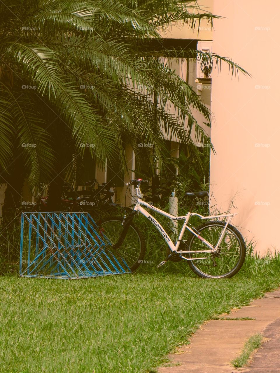Lonely Bicycle on a Brazilian University, UNESP. Vintage bike on a Rainy day