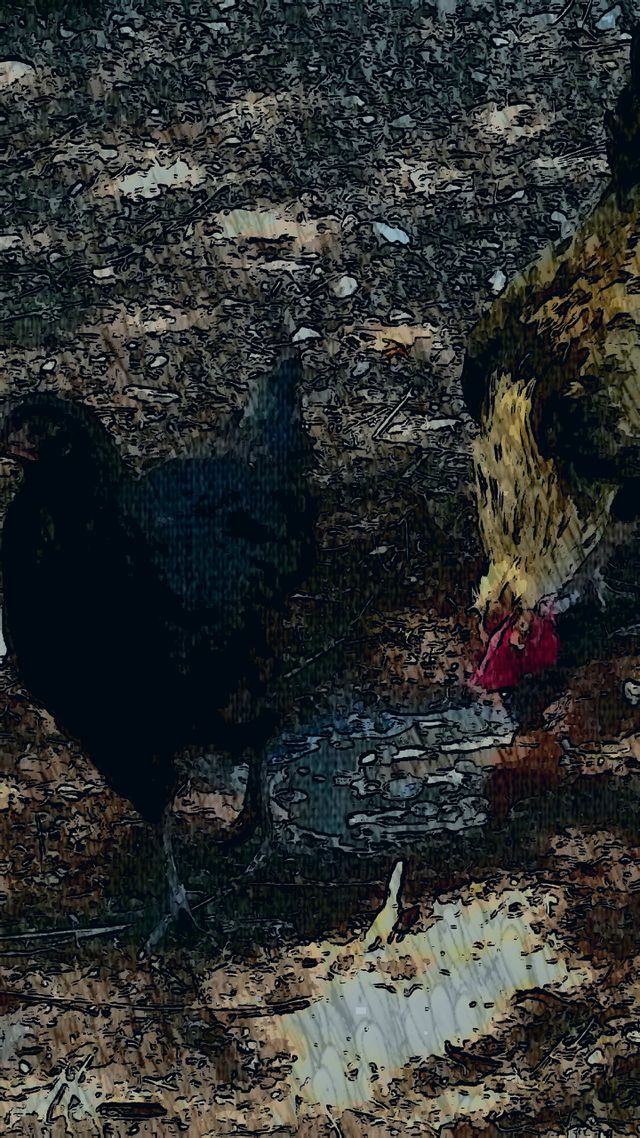 art