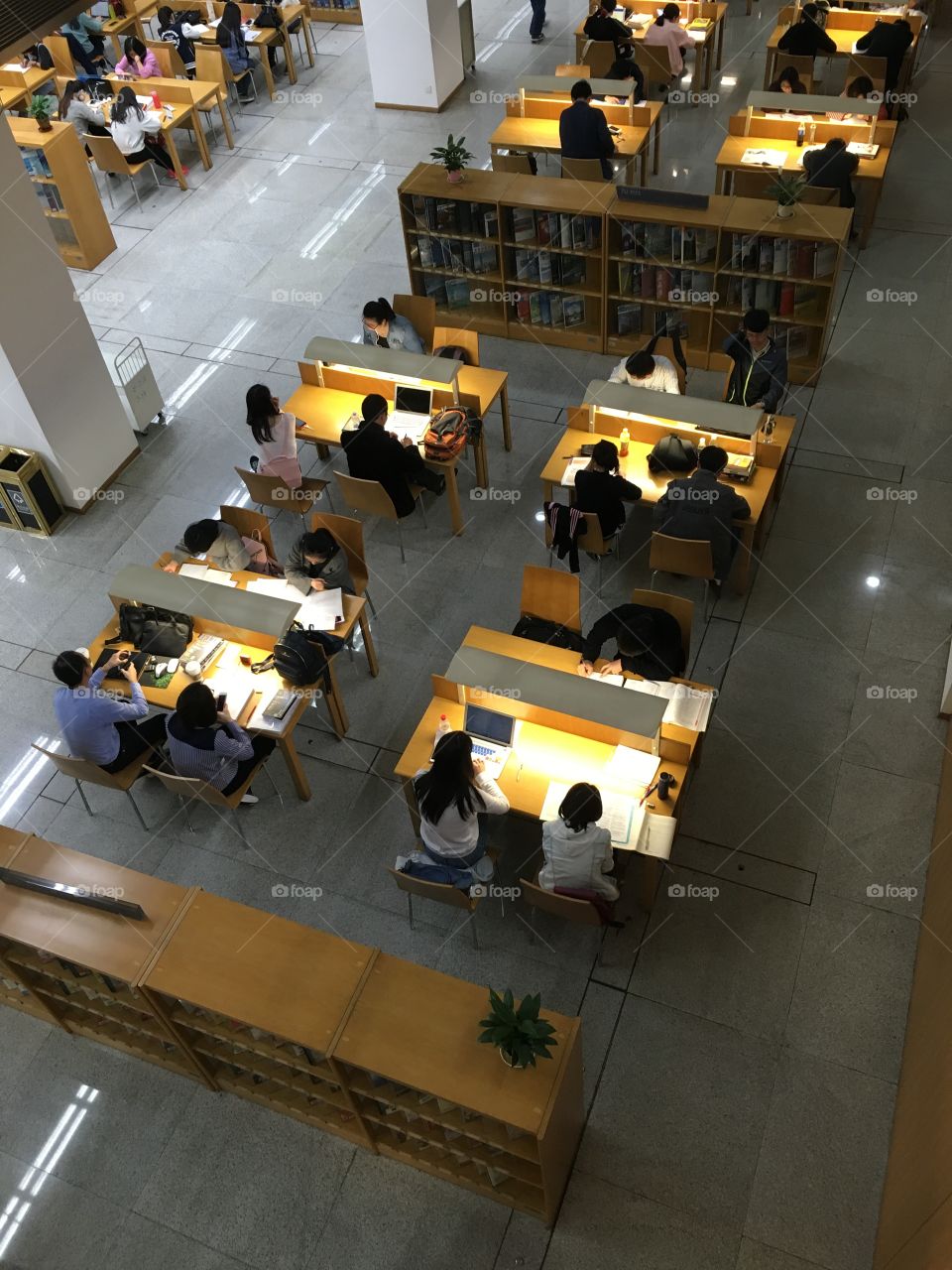Chinese Students Studying in Shenzhen Library - China