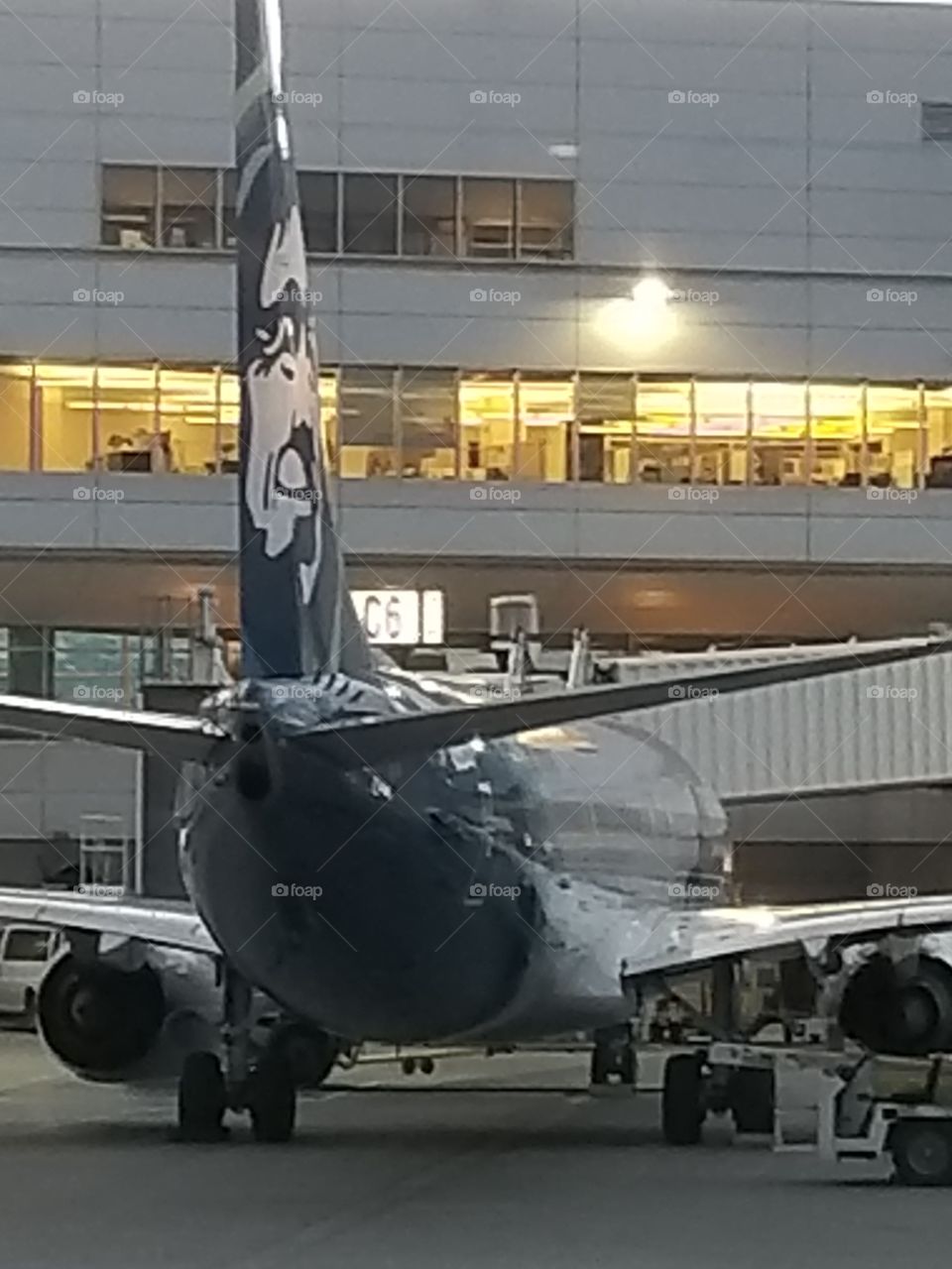Alaska Air rear view
