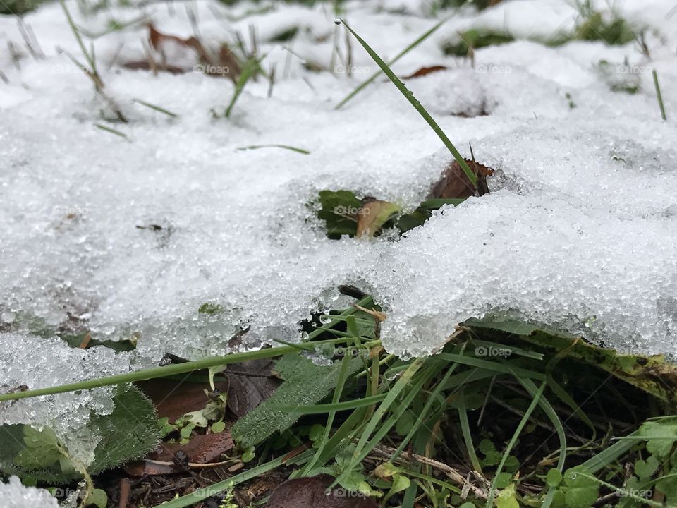 Winter, Nature, Snow, Frost, Cold