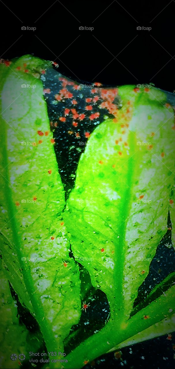 There is beauty in change, and these sunset quotes will remind you of the loveliness in endings that bring new beginnings.

Sunsets are not only beautiful, but they also have so much meaning. They signify endings, change, and transformation; they rem