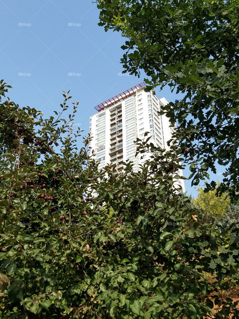 city building from the dikman vadesi park in Ankara Turkey