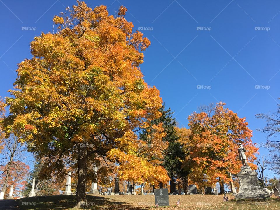 Cemetery in the fall