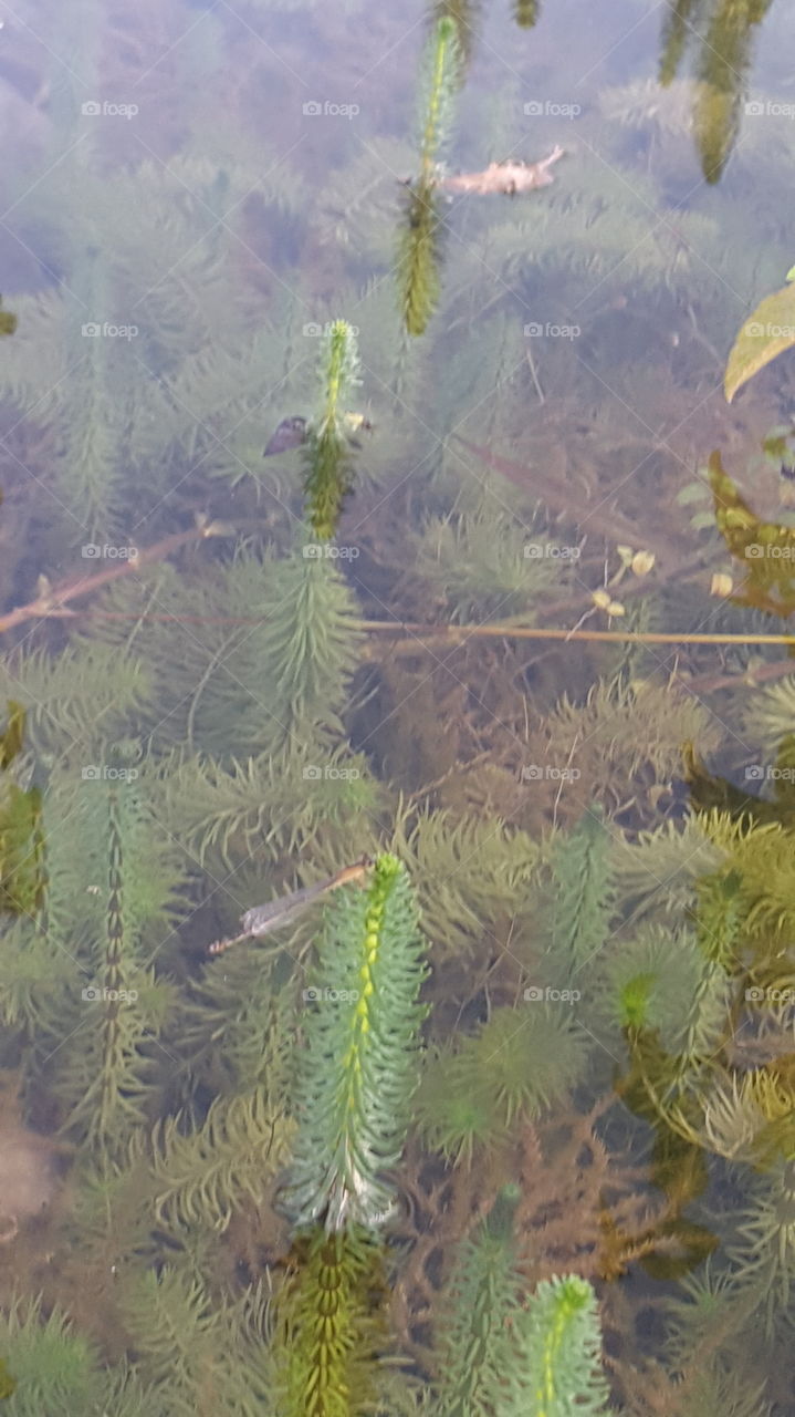 Nichts ist Schöner als die Natur.