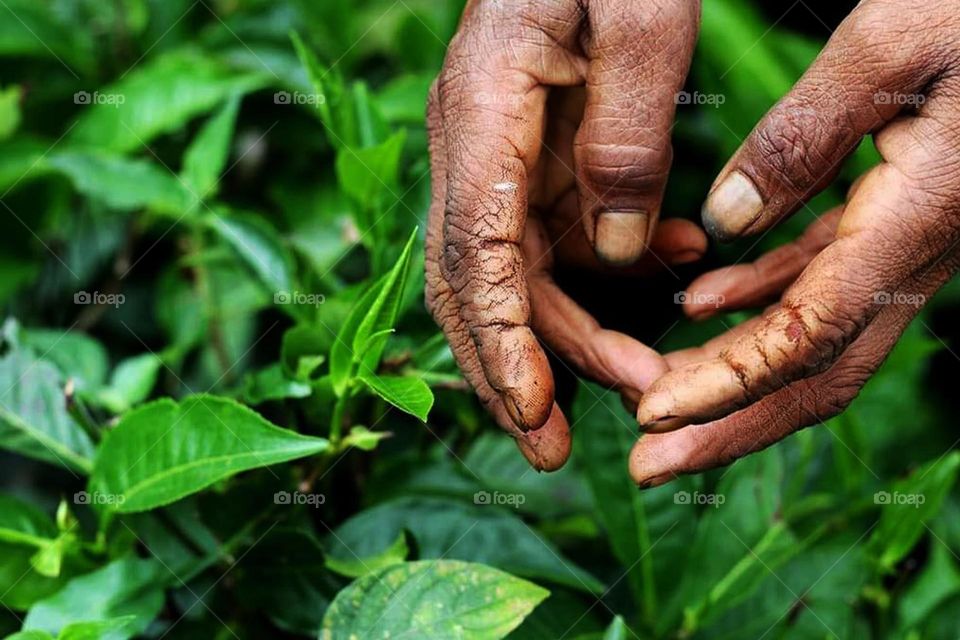 hard worker hand and beautyfull green background