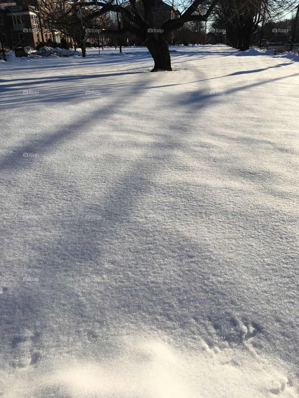 Light and Shadows on snow