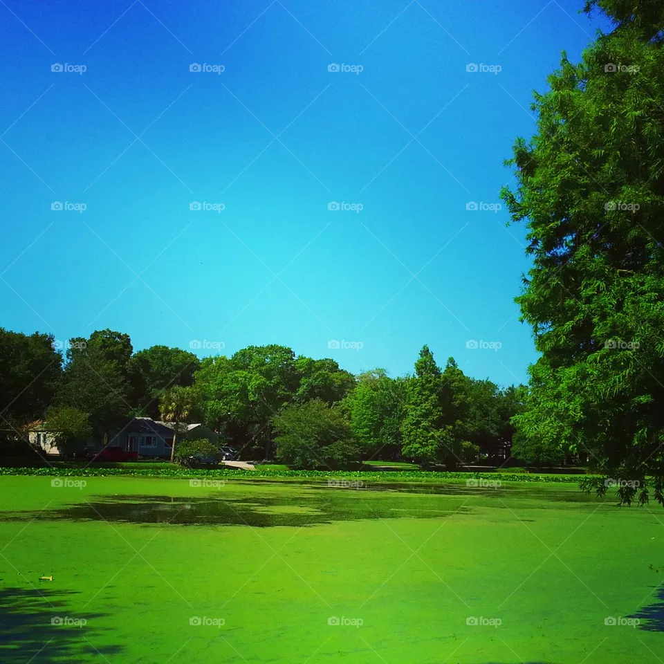 green
