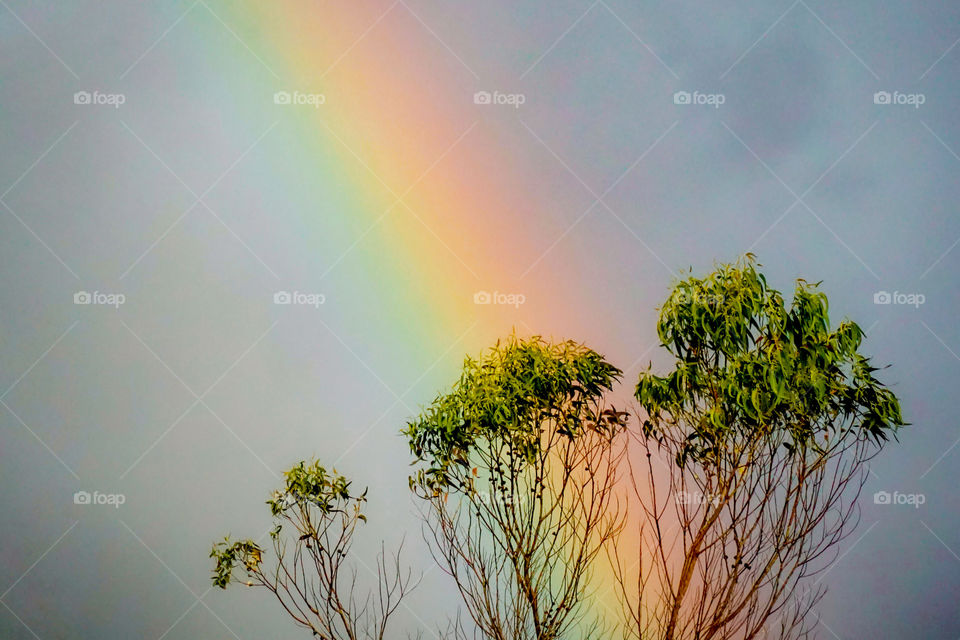 It takes sunshine and rain to make a rainbow