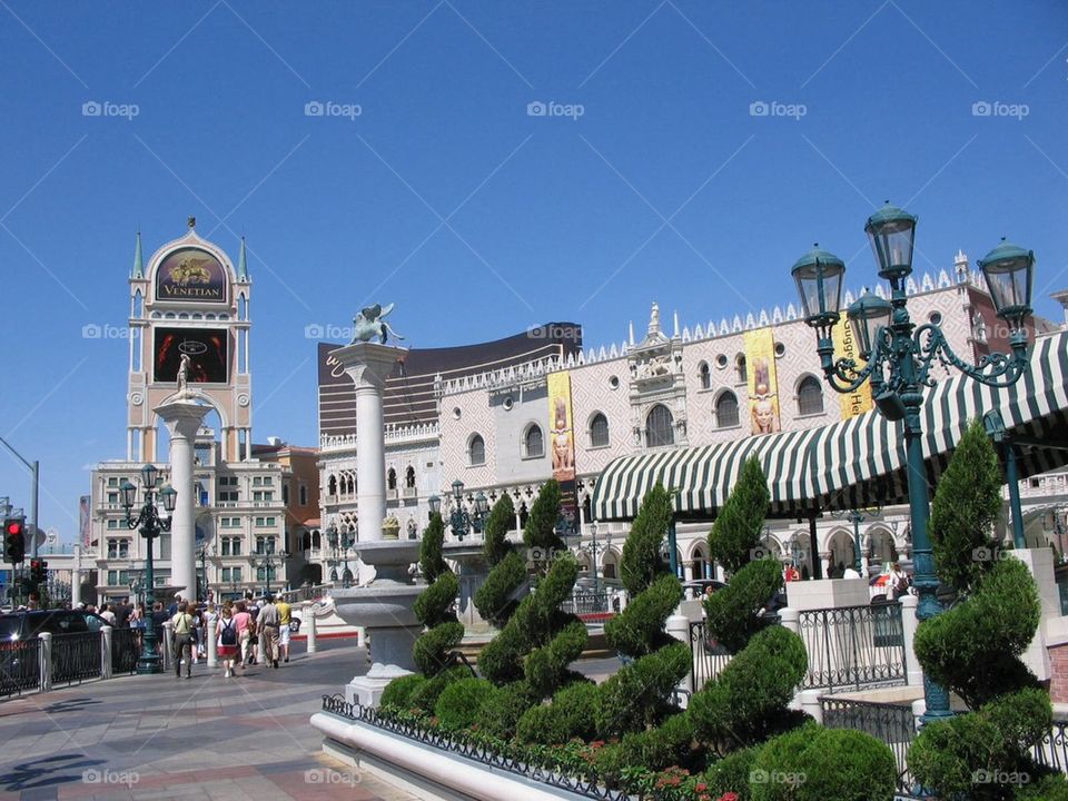 Venetian shrubs