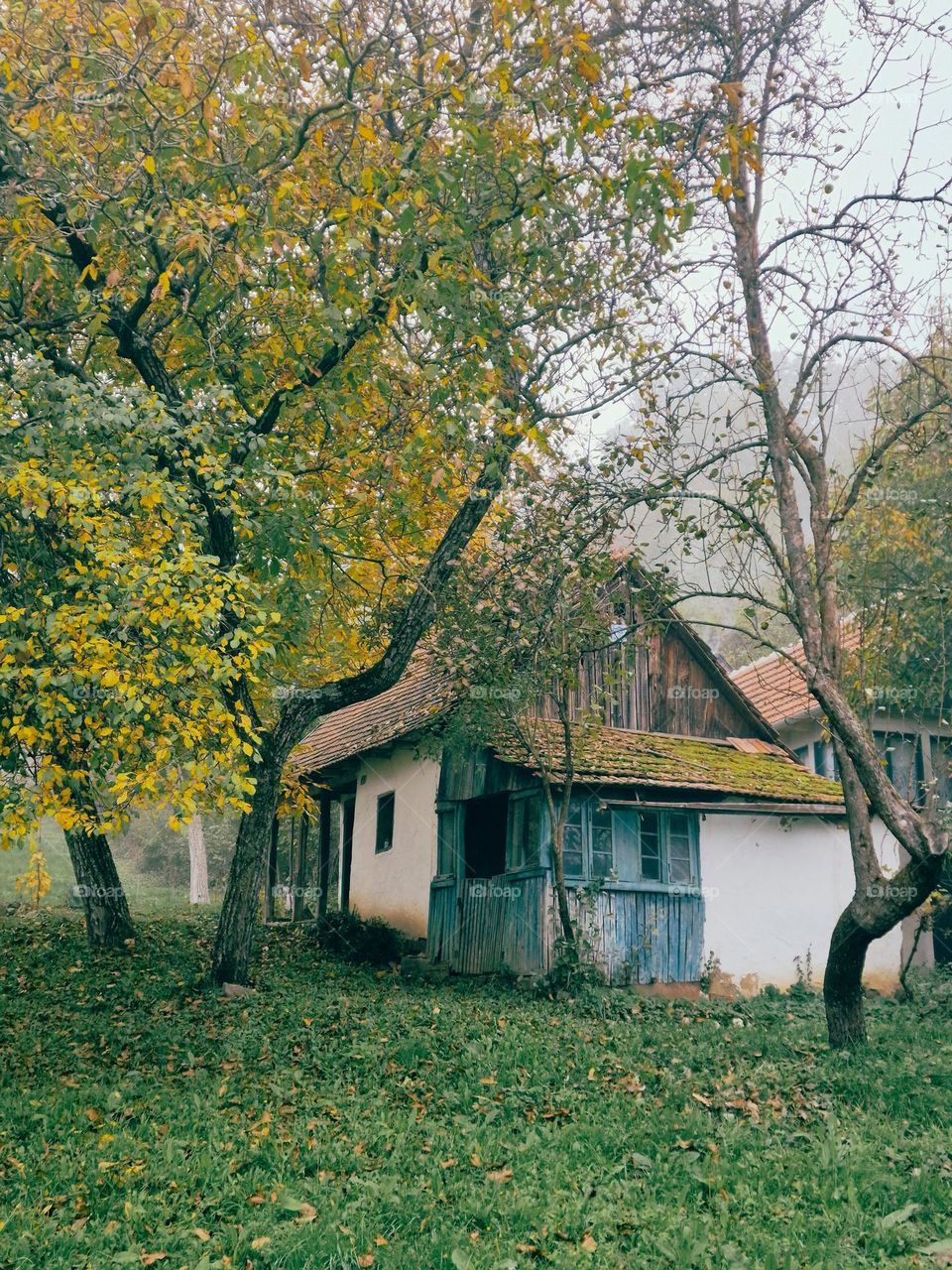 autumn landscape