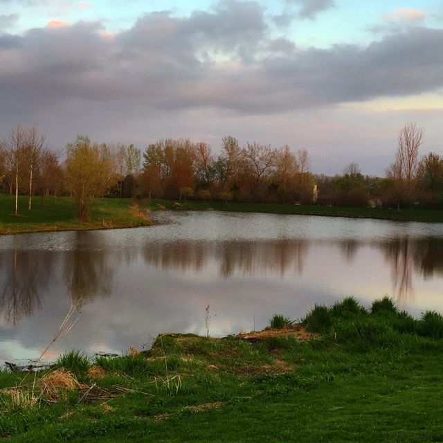 Clouds and trees reflected on lake