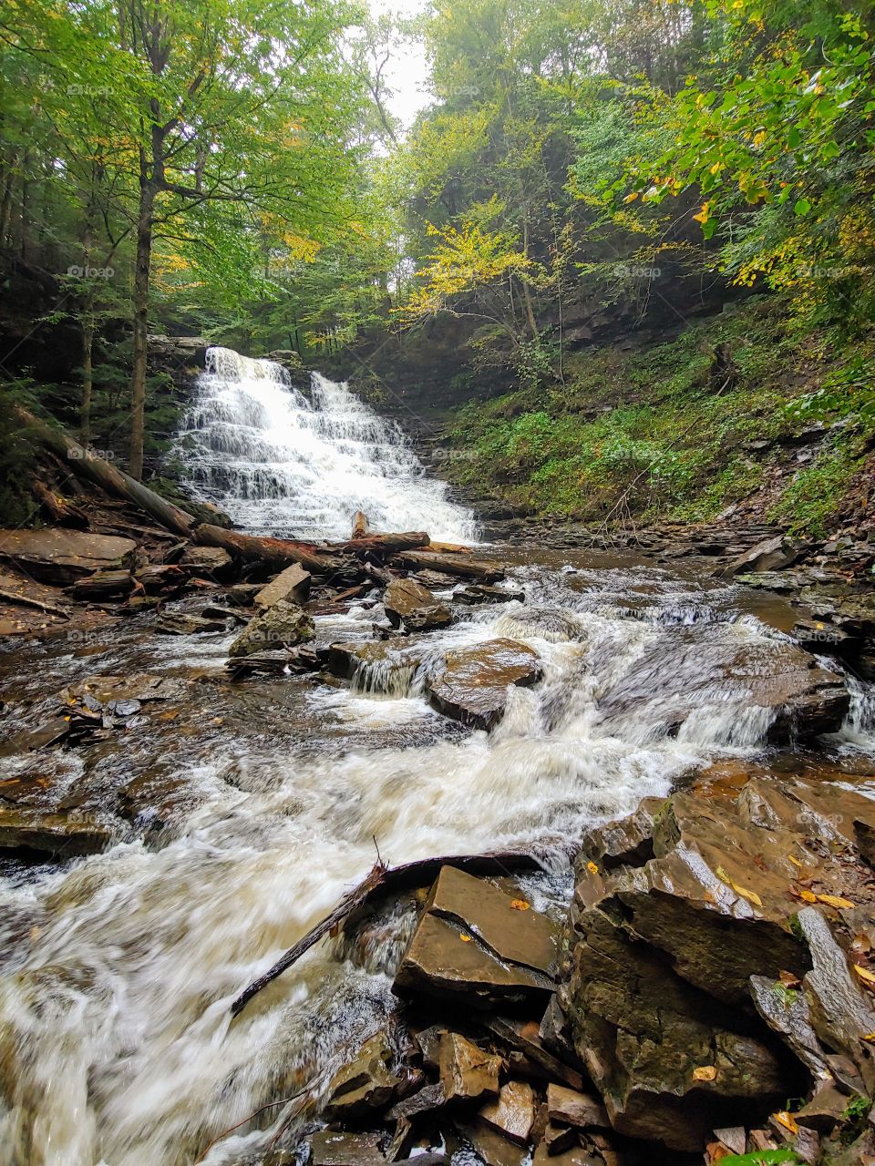 Ricketts Glen State Park