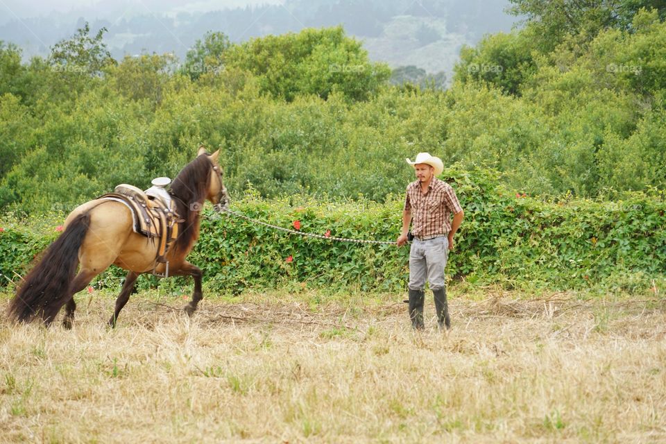 Cowboy Running His Horse