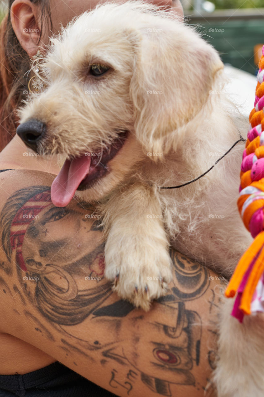 Brazo tatuado de mujer sujetando un tierno cachorro.
