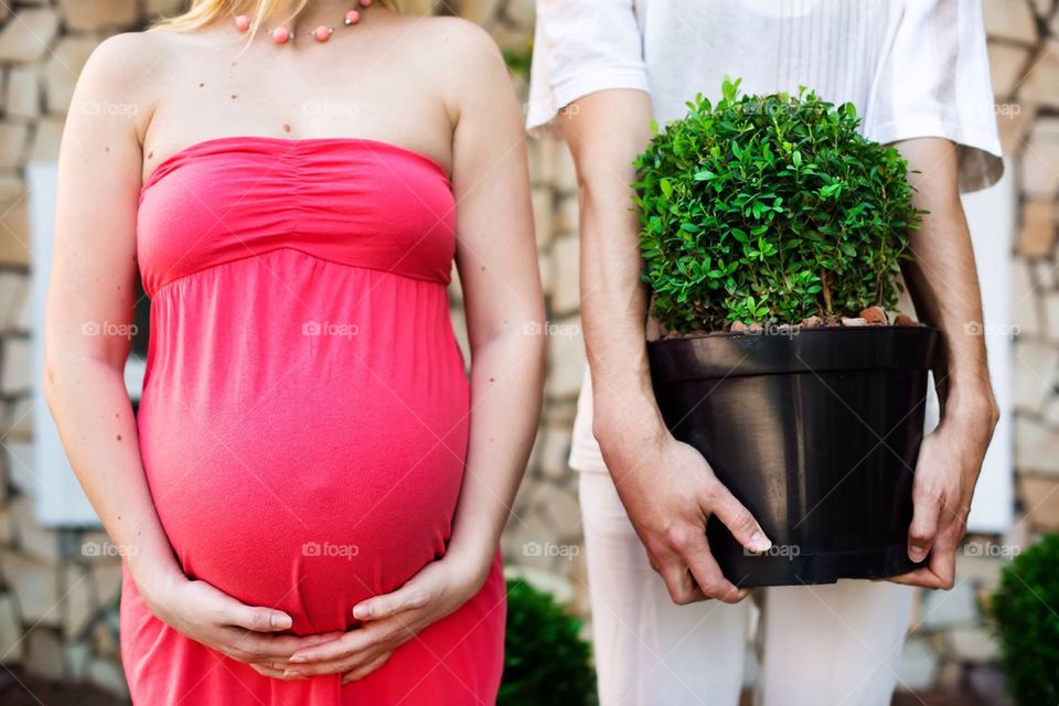 Mid section view of pregnant woman and man with potted plant