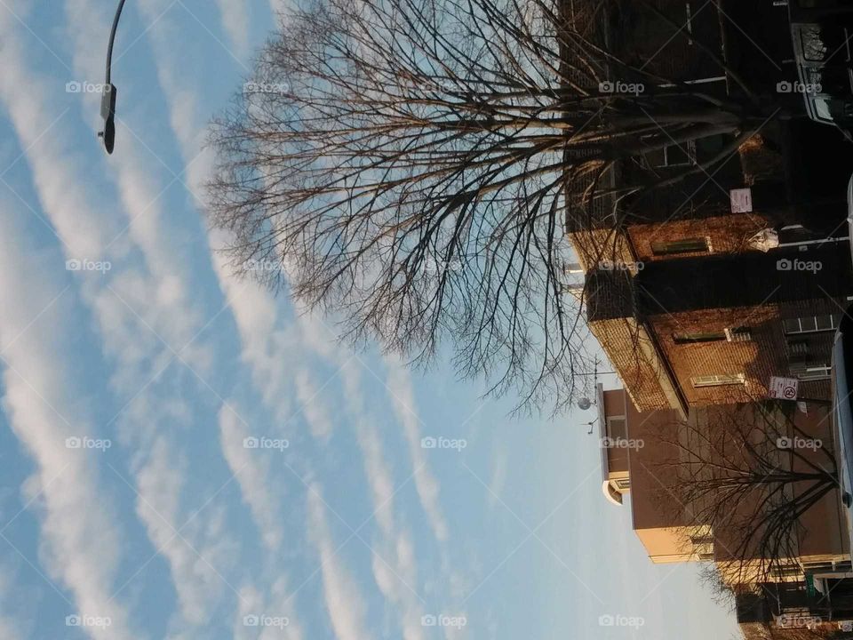 rooftops treetops clouds