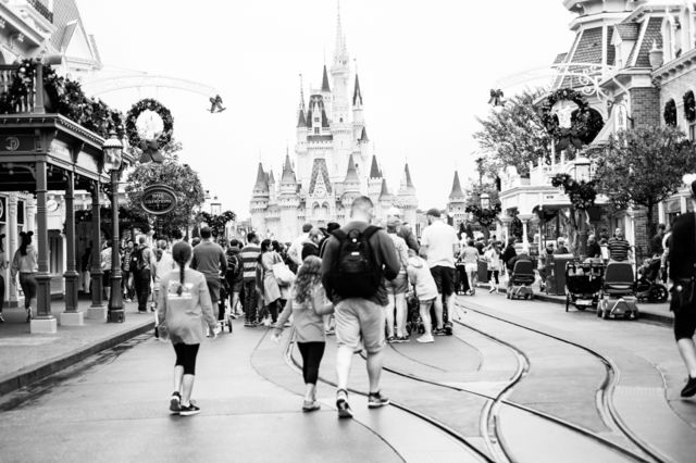 The Kingdom