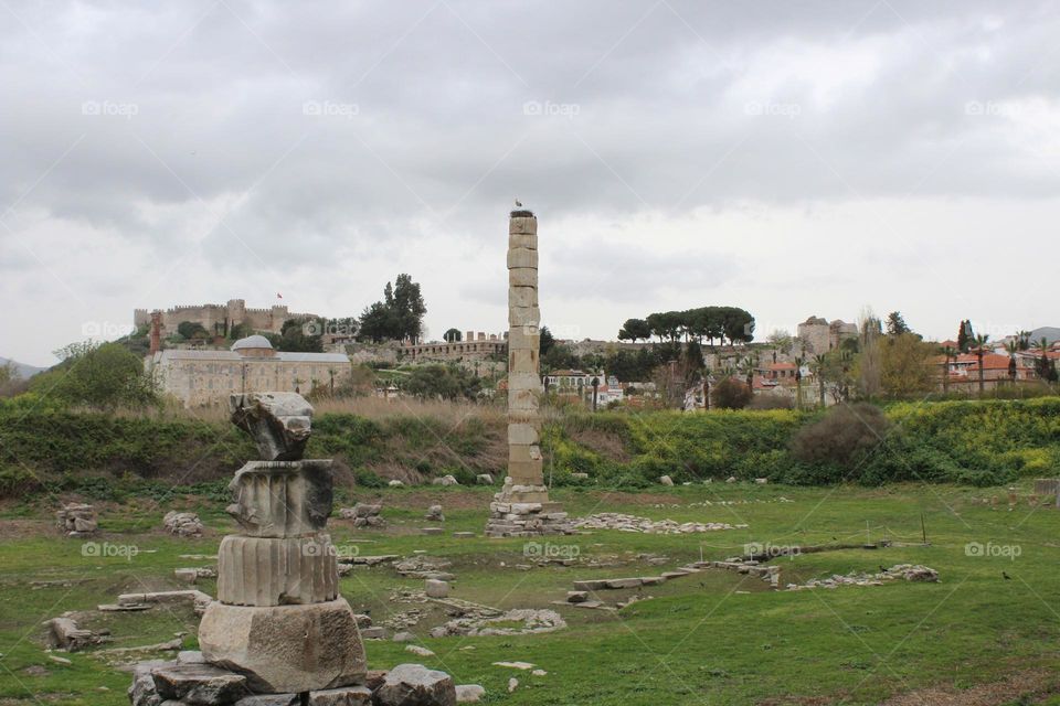 Storks are very popular in Turkey, no wonder there are many stork nests among Ephesus archaeological area in Selcuk town. 