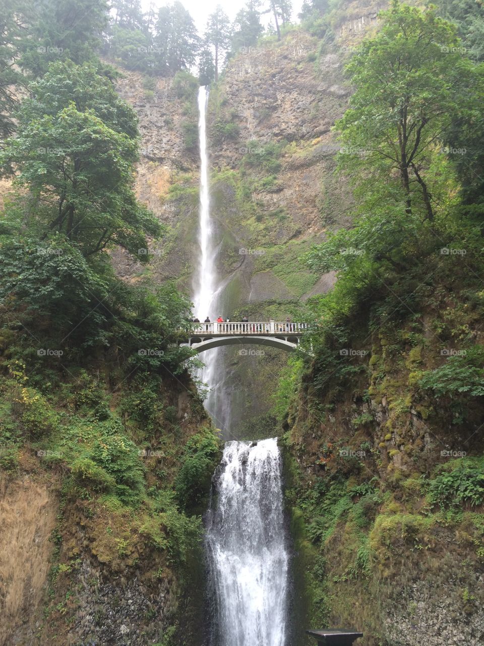 Full waterfall 