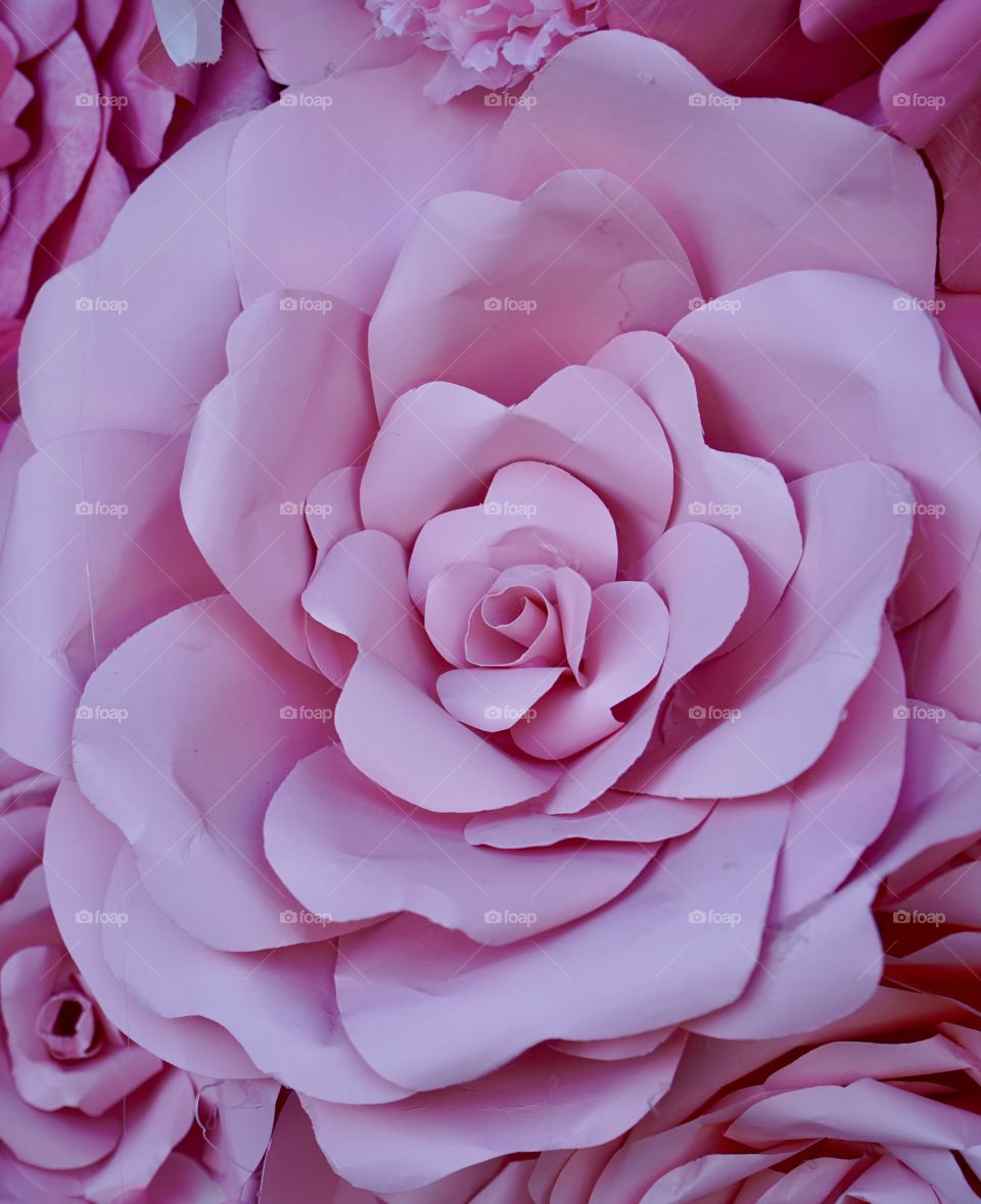 Wall of flowers. Pink Paper flowers. 