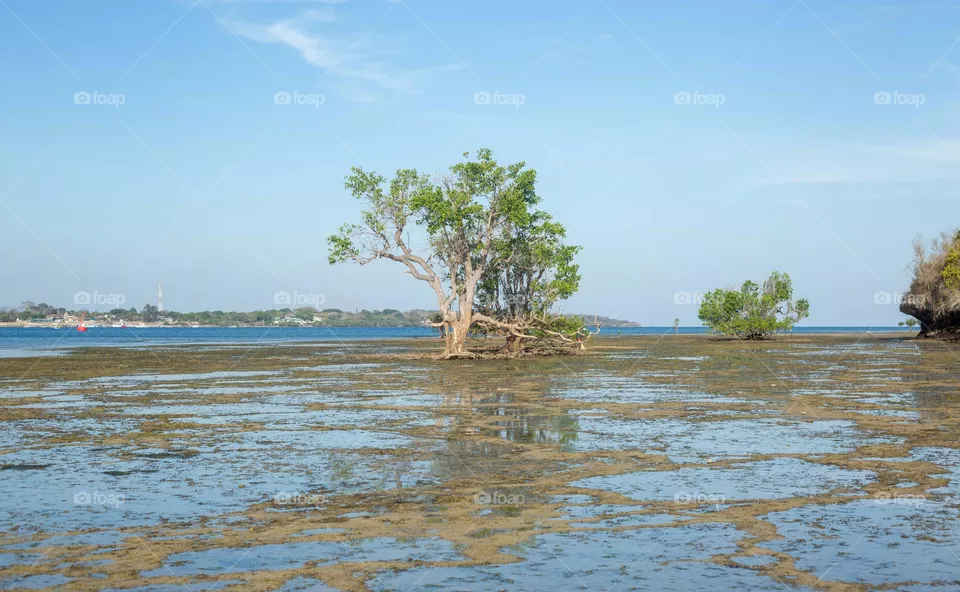 Climate change Impact