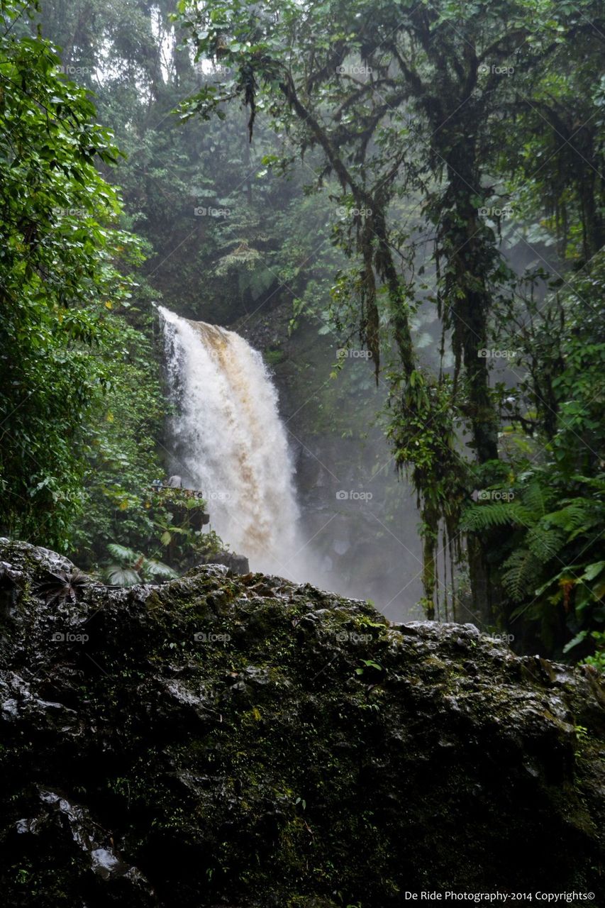 La Paz - Costa Rica