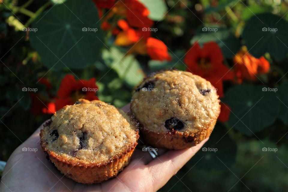 blue berry muffins